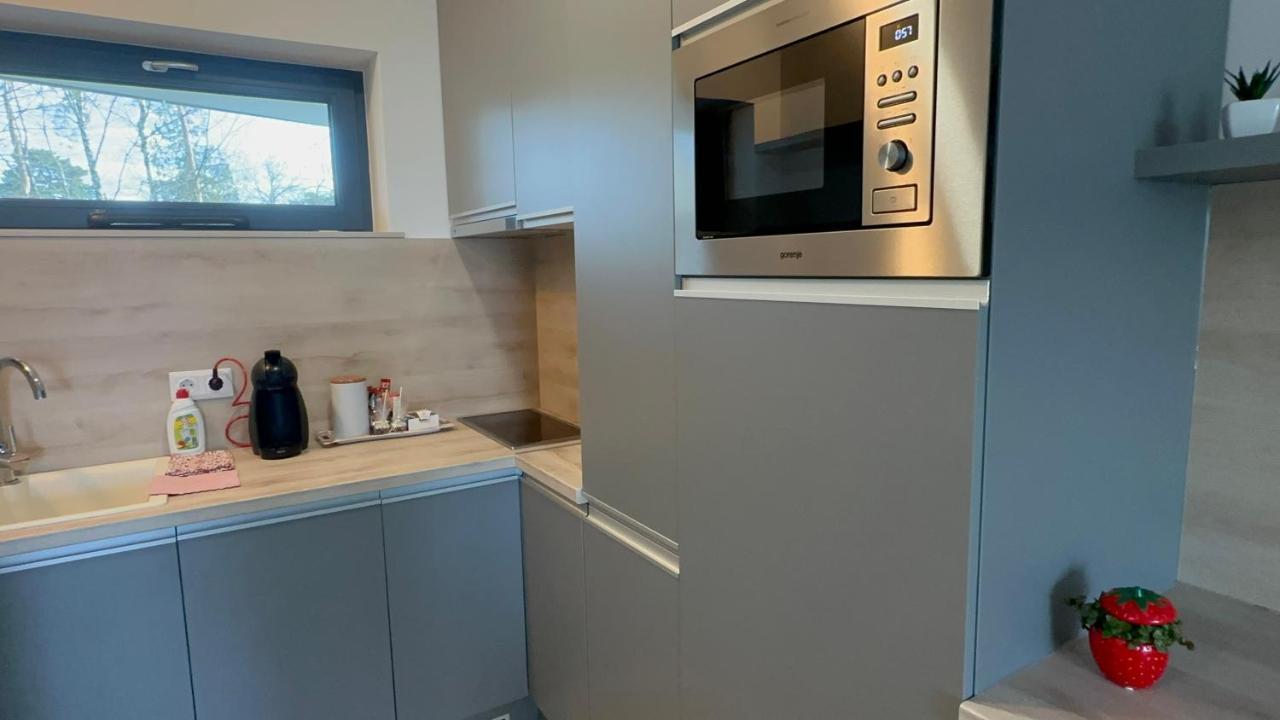 Medences Panoramas Balatom Apartman Шиофок Экстерьер фото